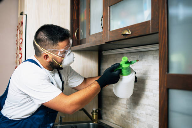 Best Insect Control  in Cleveland, AL