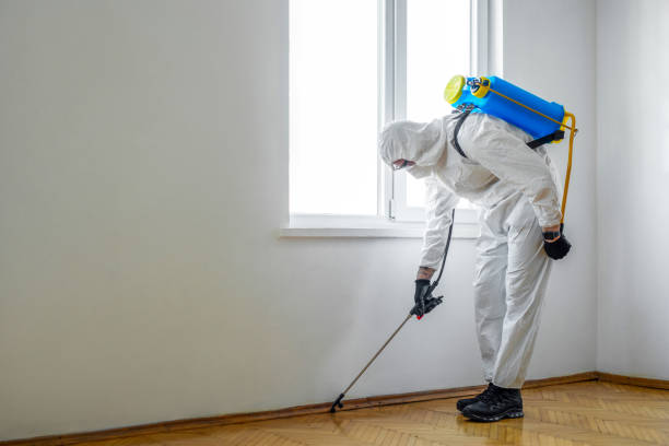 Professional Pest Control in Cleveland, AL