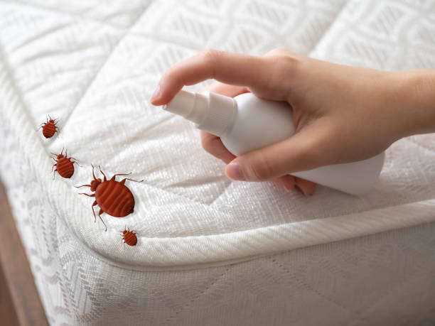 Best Best Pest Control Companies  in Cleveland, AL